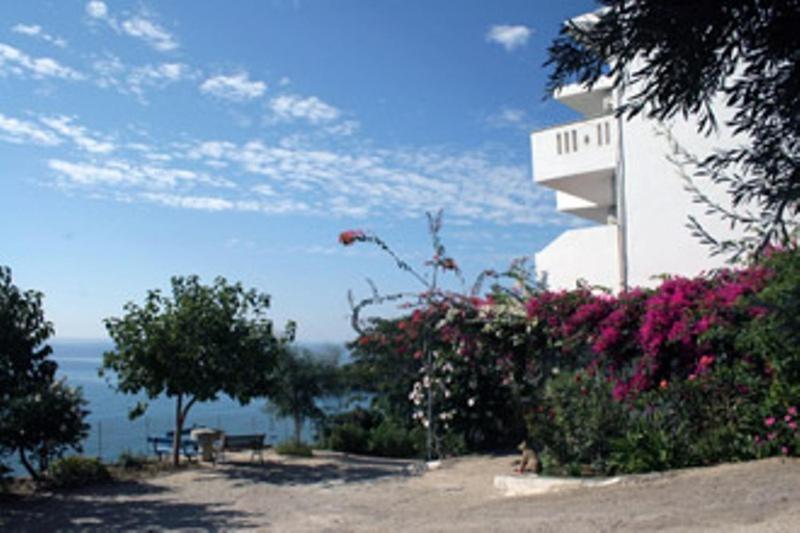 Oasis Studios روداكينو المظهر الخارجي الصورة