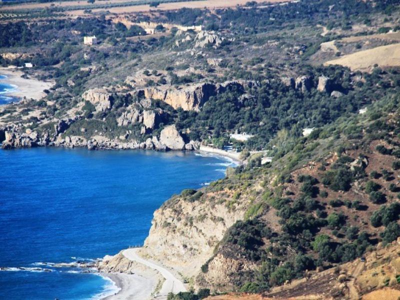 Oasis Studios روداكينو المظهر الخارجي الصورة