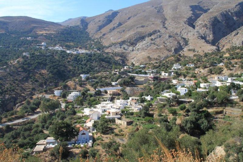 Oasis Studios روداكينو المظهر الخارجي الصورة